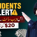Earn Money Online In Pakistan